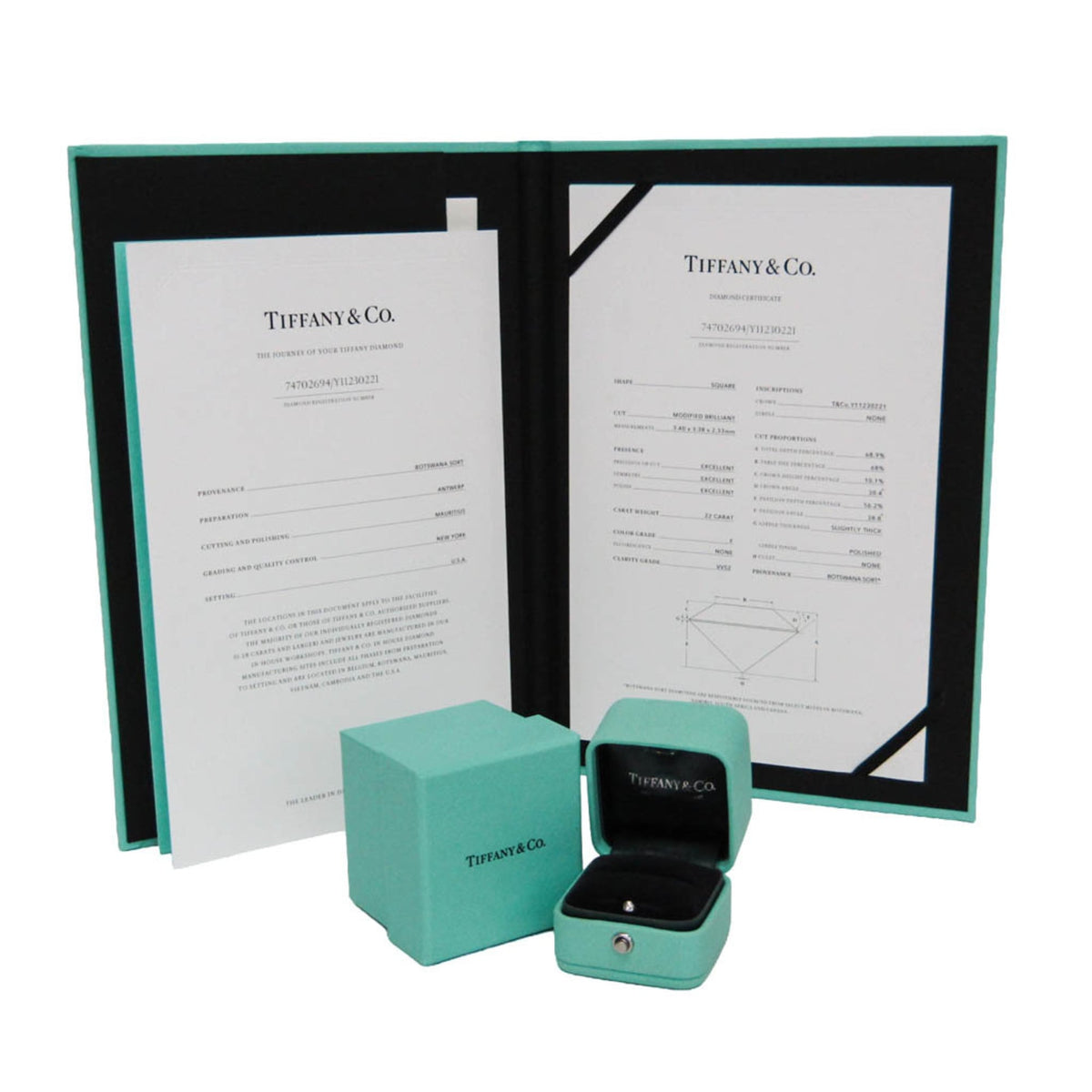Tiffany Solitaire · Platinum · Diamond