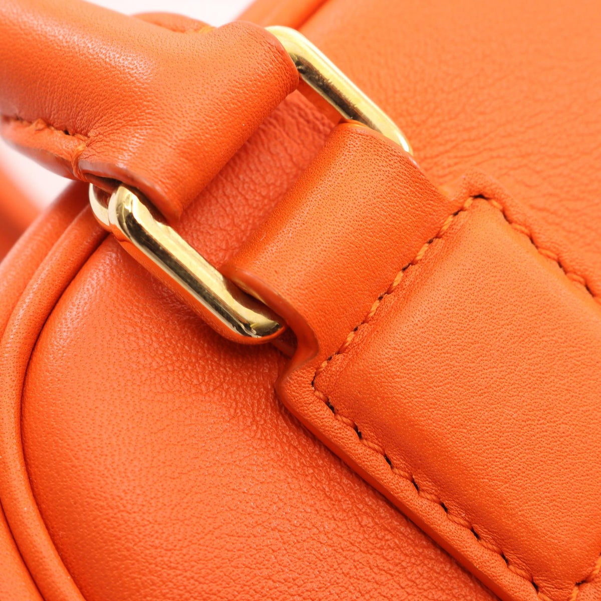 Loewe Amazona 16 · Leather