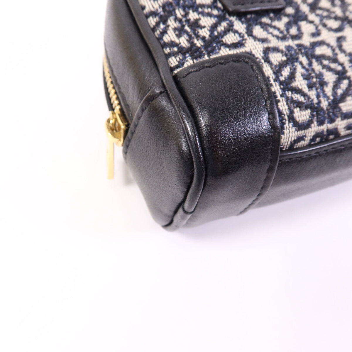 Loewe Amazona Nano · Anagram Canvas
