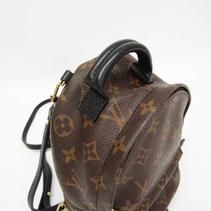 Louis Vuitton Monogram Palm Springs Mini