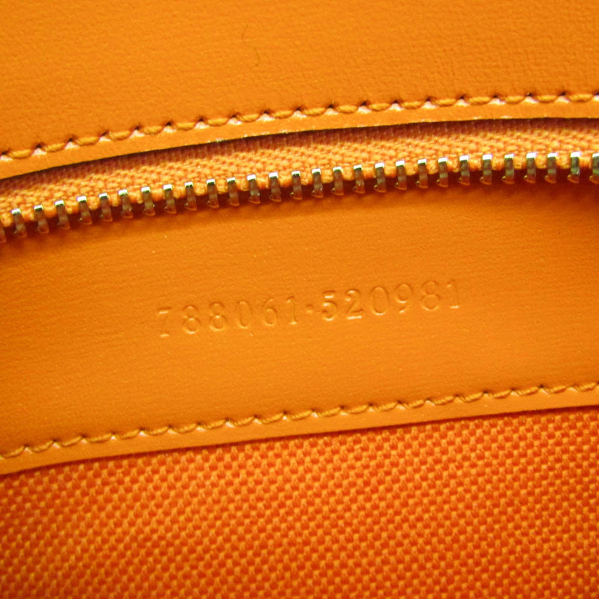 Gucci Luce · GG Canvas