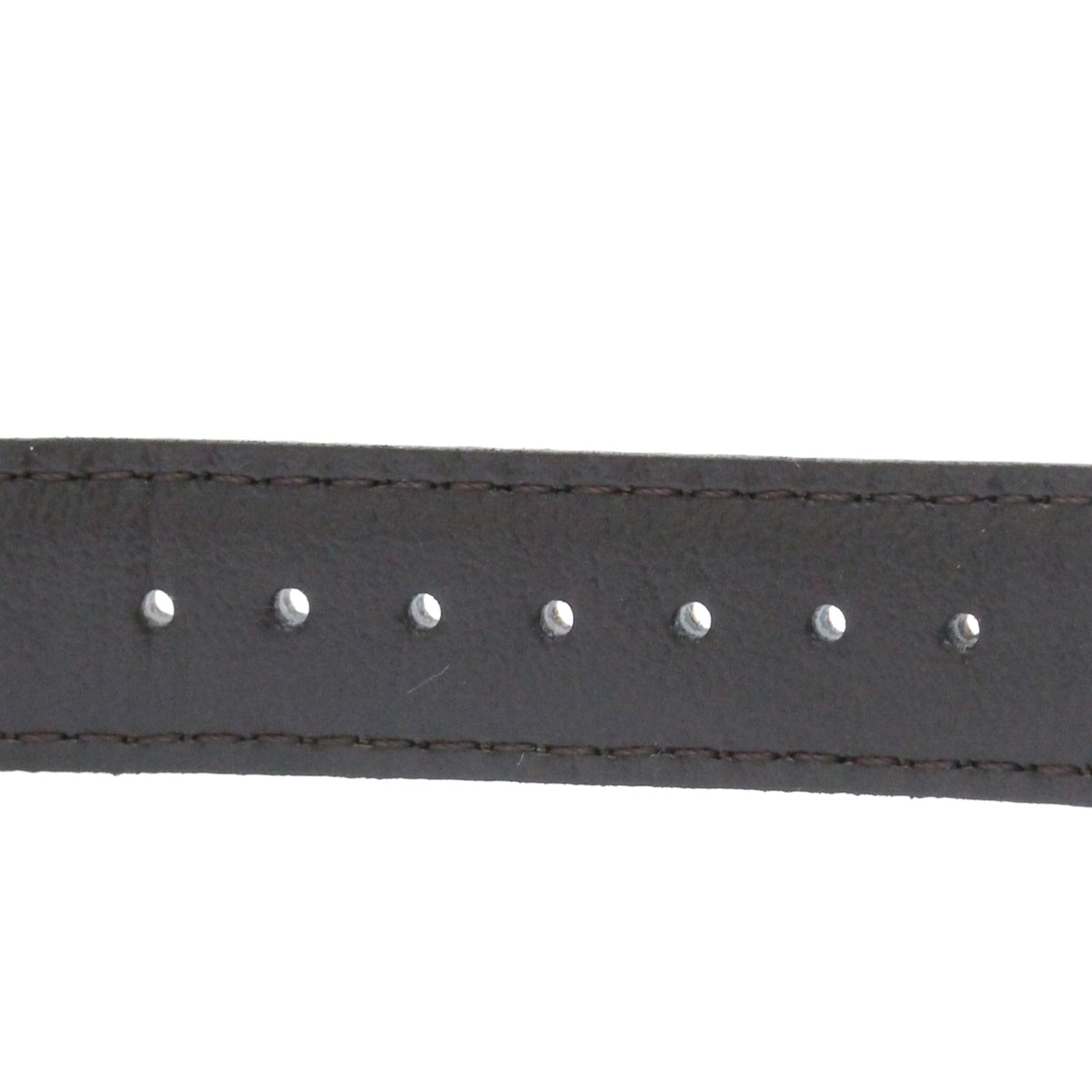 Tiffany Diver · Steel · Quartz