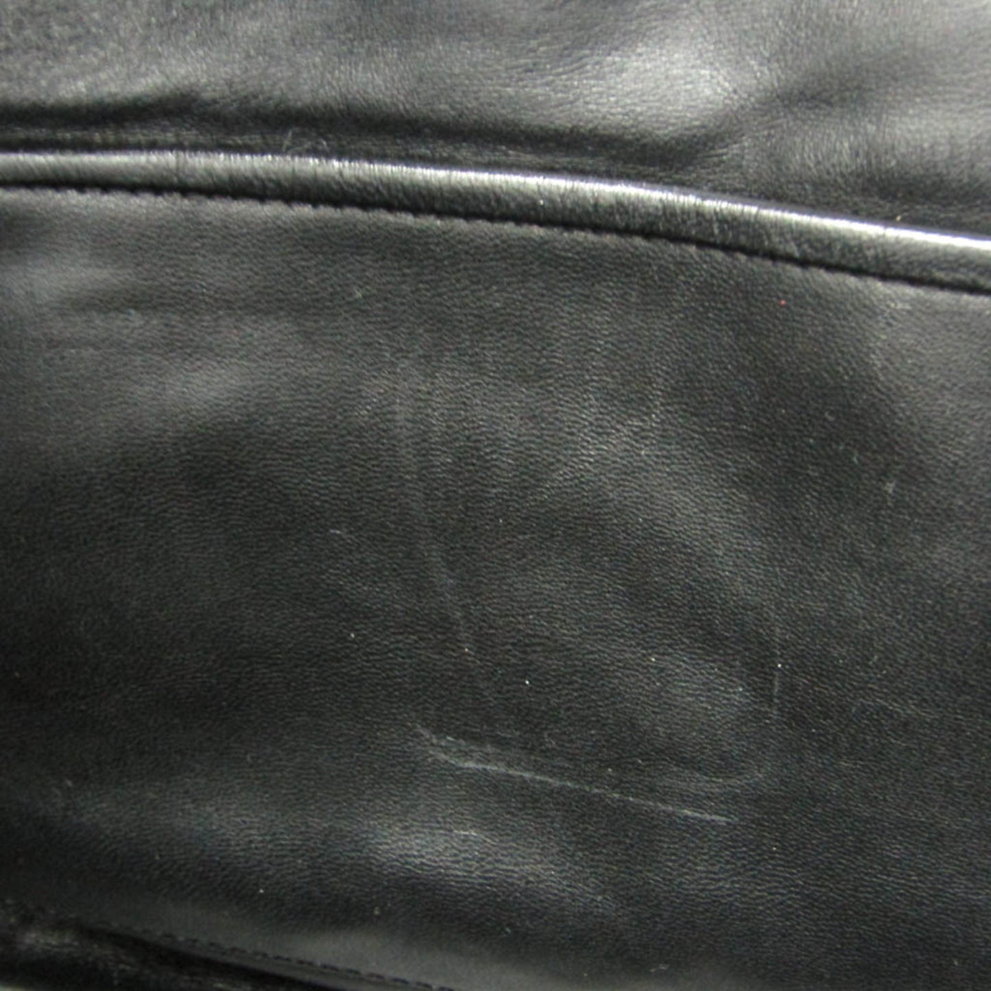 Loewe Amazona 36 · Limited Edition · Calfskin
