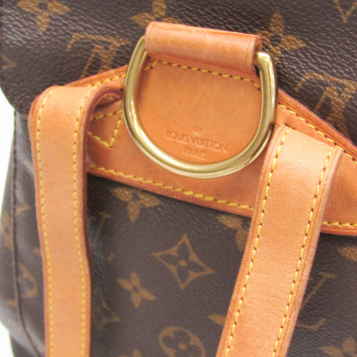 Louis Vuitton Monogram Montsouris MM