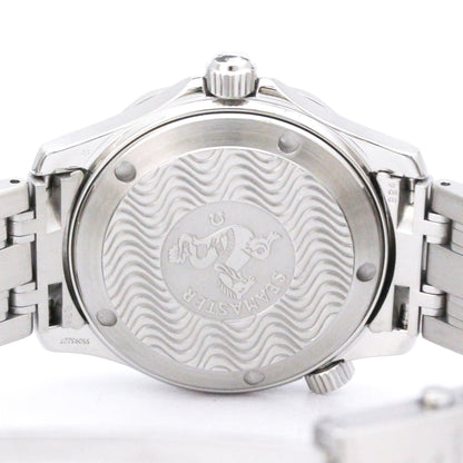 Omega Seamaster Professional 300M · Steel