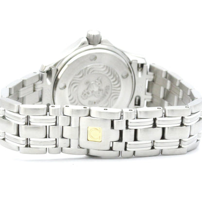 Omega Seamaster Professional 300M · Steel