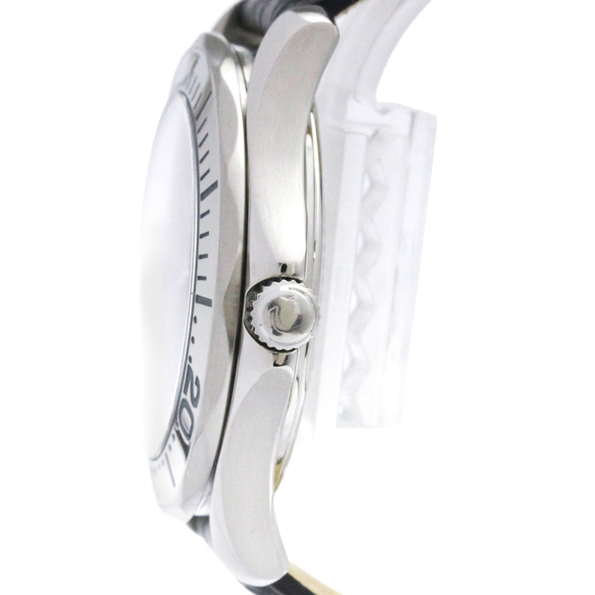 Omega Seamaster Professional 300M · Automatic