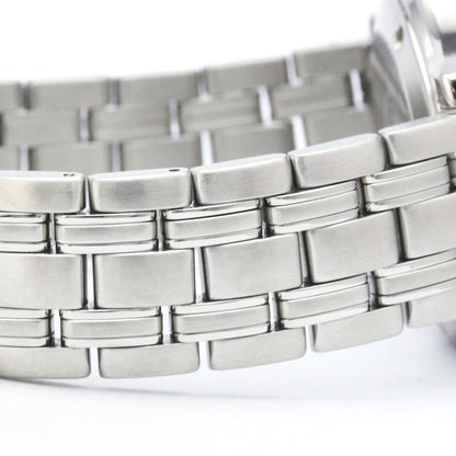 Omega Seamaster Professional 300M · Steel