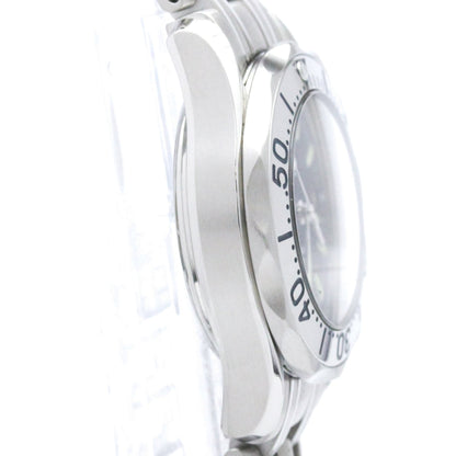 Omega Seamaster Professional 300M · Steel
