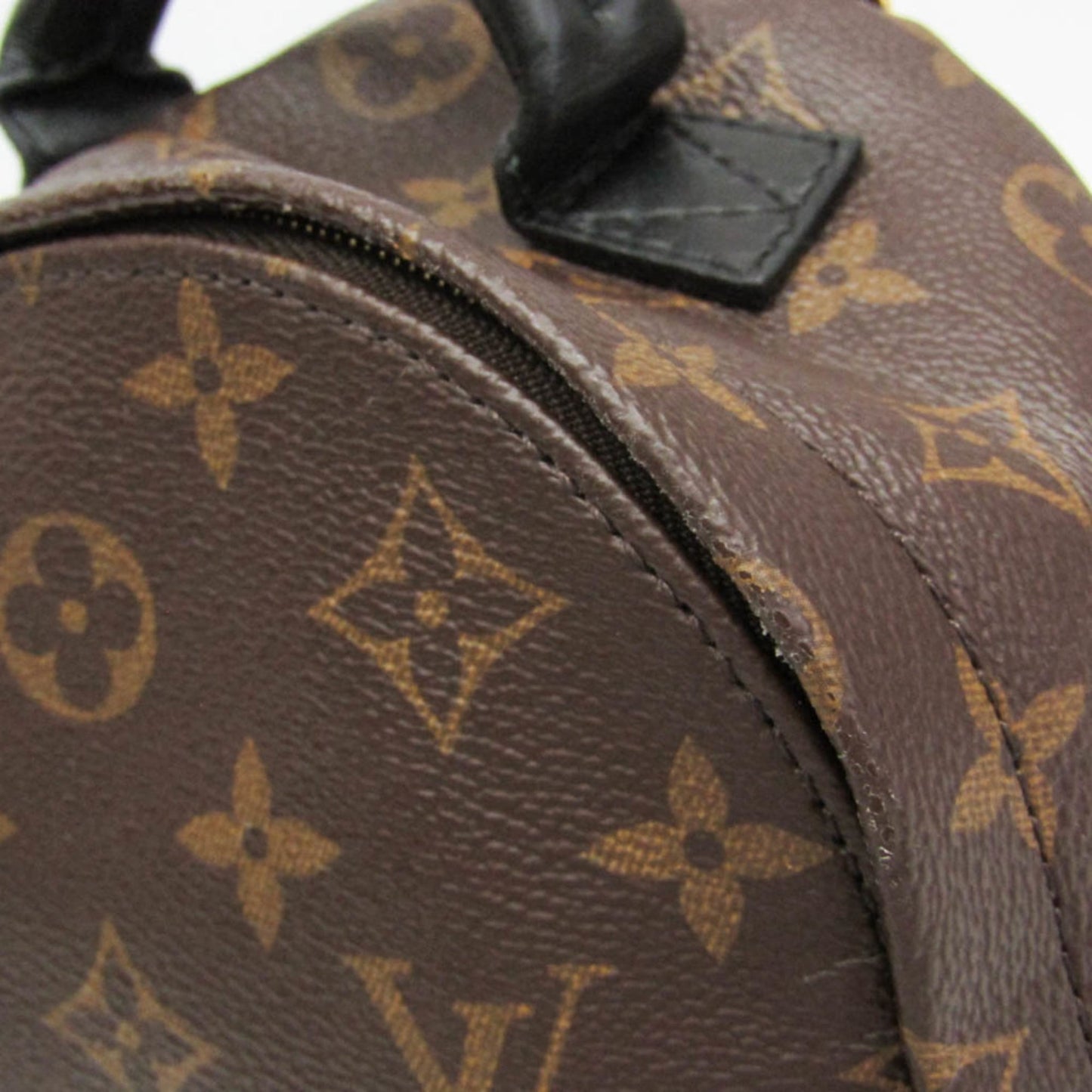 Louis Vuitton Monogram Palm Springs Mini