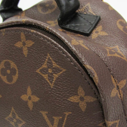 Louis Vuitton Monogram Palm Springs Mini