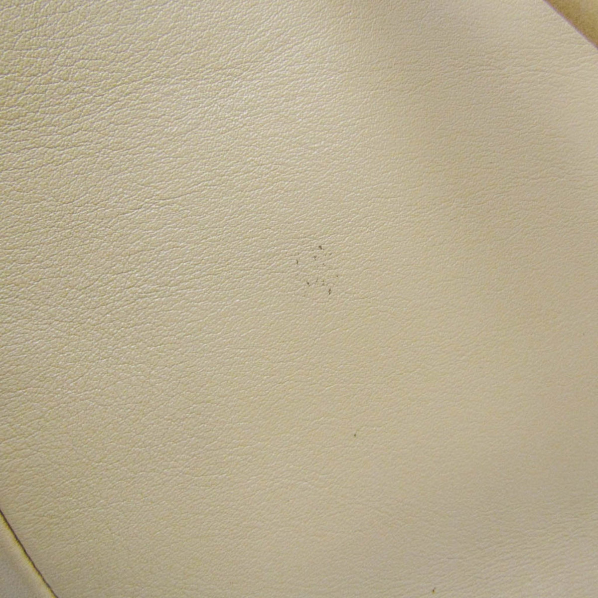 Bottega Veneta Beak · Leather