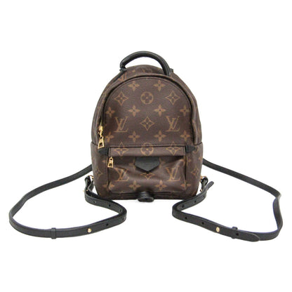 Louis Vuitton Monogram Palm Springs Mini