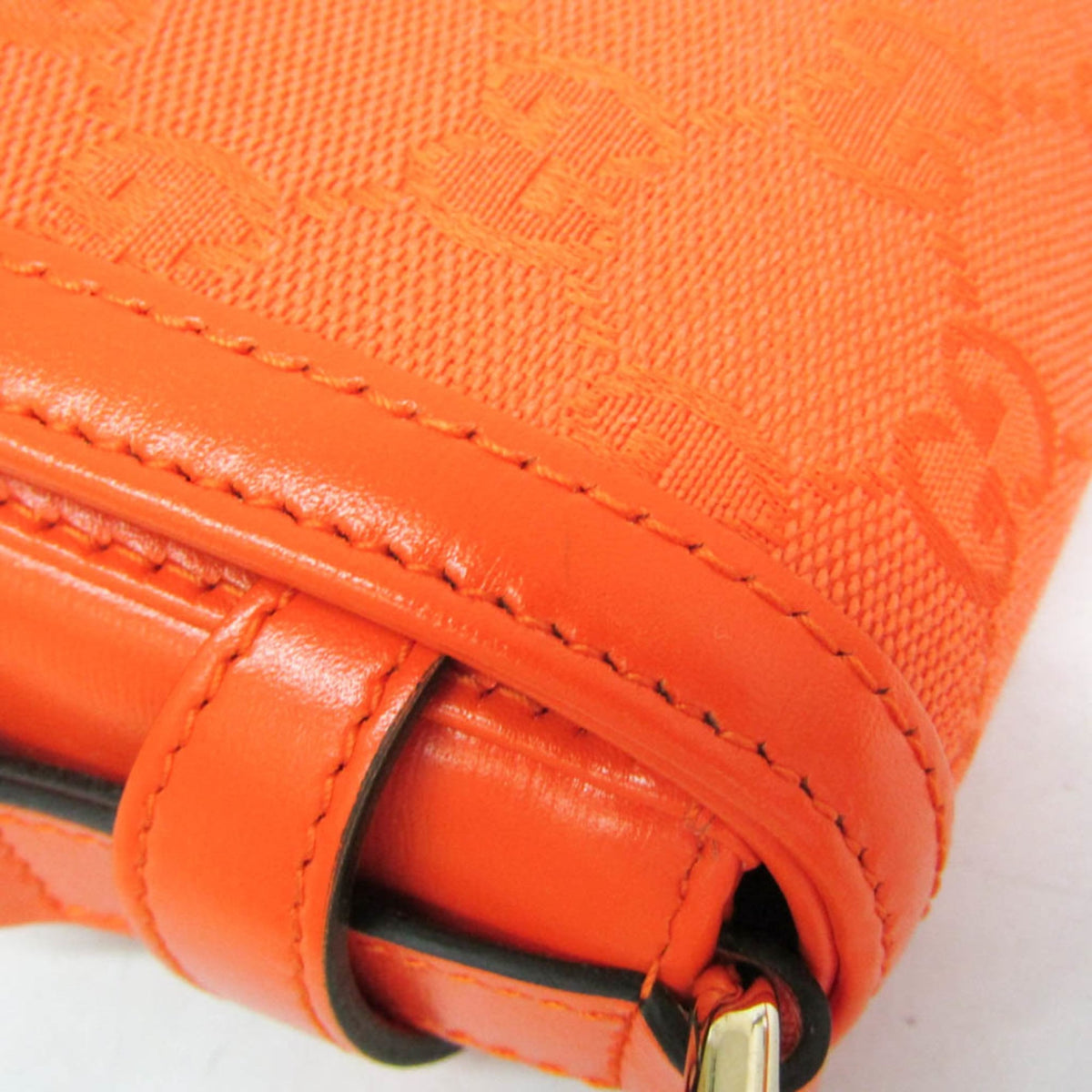 Gucci Luce · GG Canvas