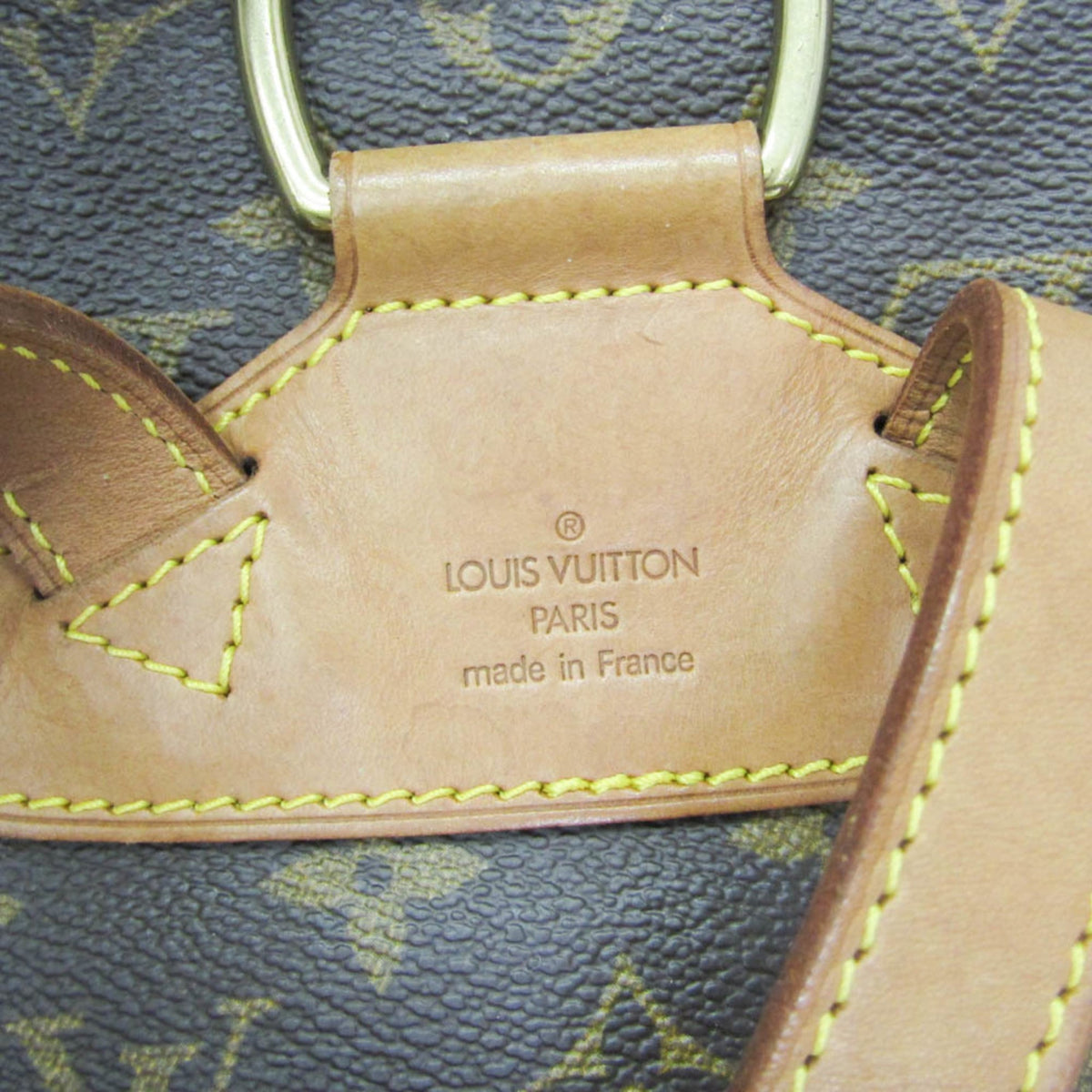 Louis Vuitton Montsouris MM · Monogram