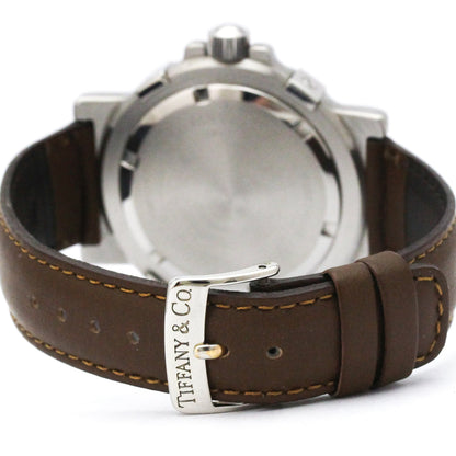 Tiffany Diver · Steel · Quartz