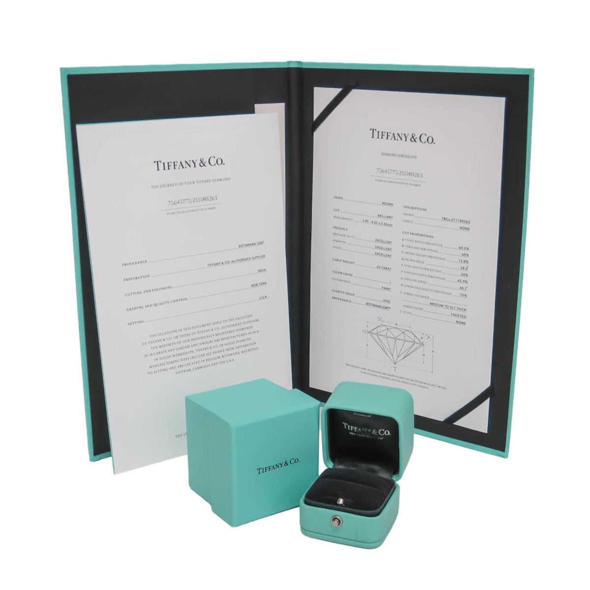 Tiffany Harmony · Platinum · 0.24ct Diamond