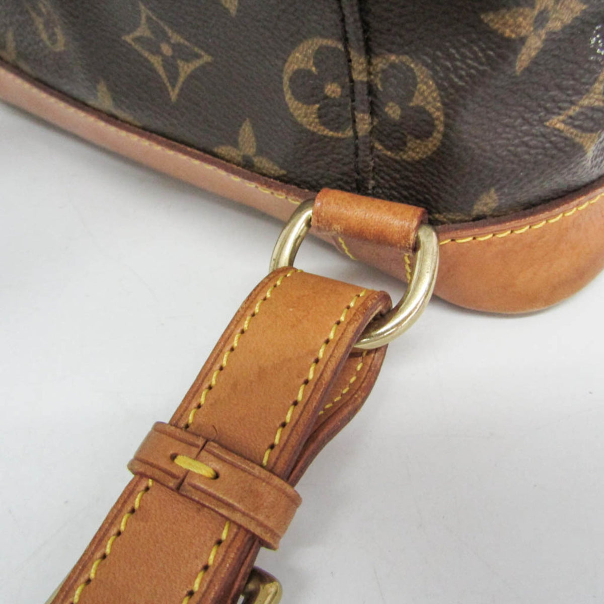 Louis Vuitton Montsouris MM · Monogram