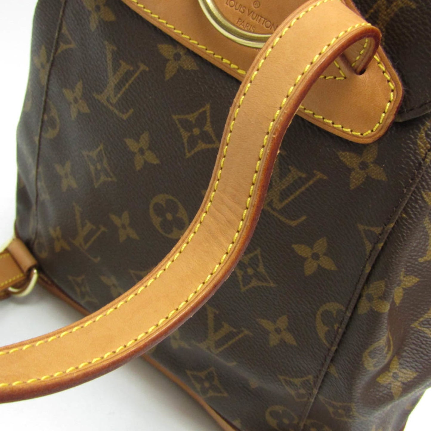 Louis Vuitton Montsouris MM · Monogram