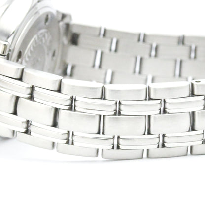 Omega Seamaster Professional 300M · Steel