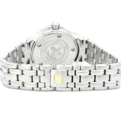 Omega Seamaster Professional 300M · Steel