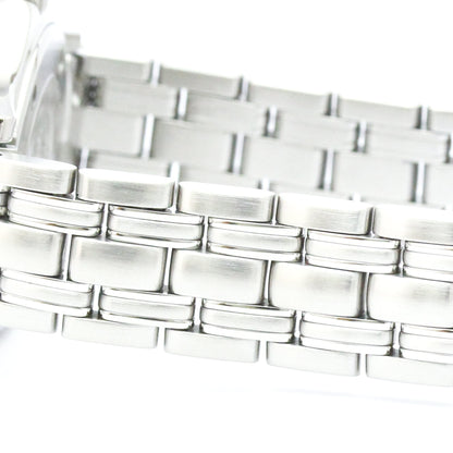 Omega Seamaster Professional 300M · Steel
