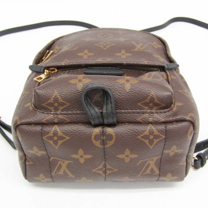 Louis Vuitton Monogram Palm Springs Mini