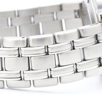 Omega Seamaster Professional 300M · Steel
