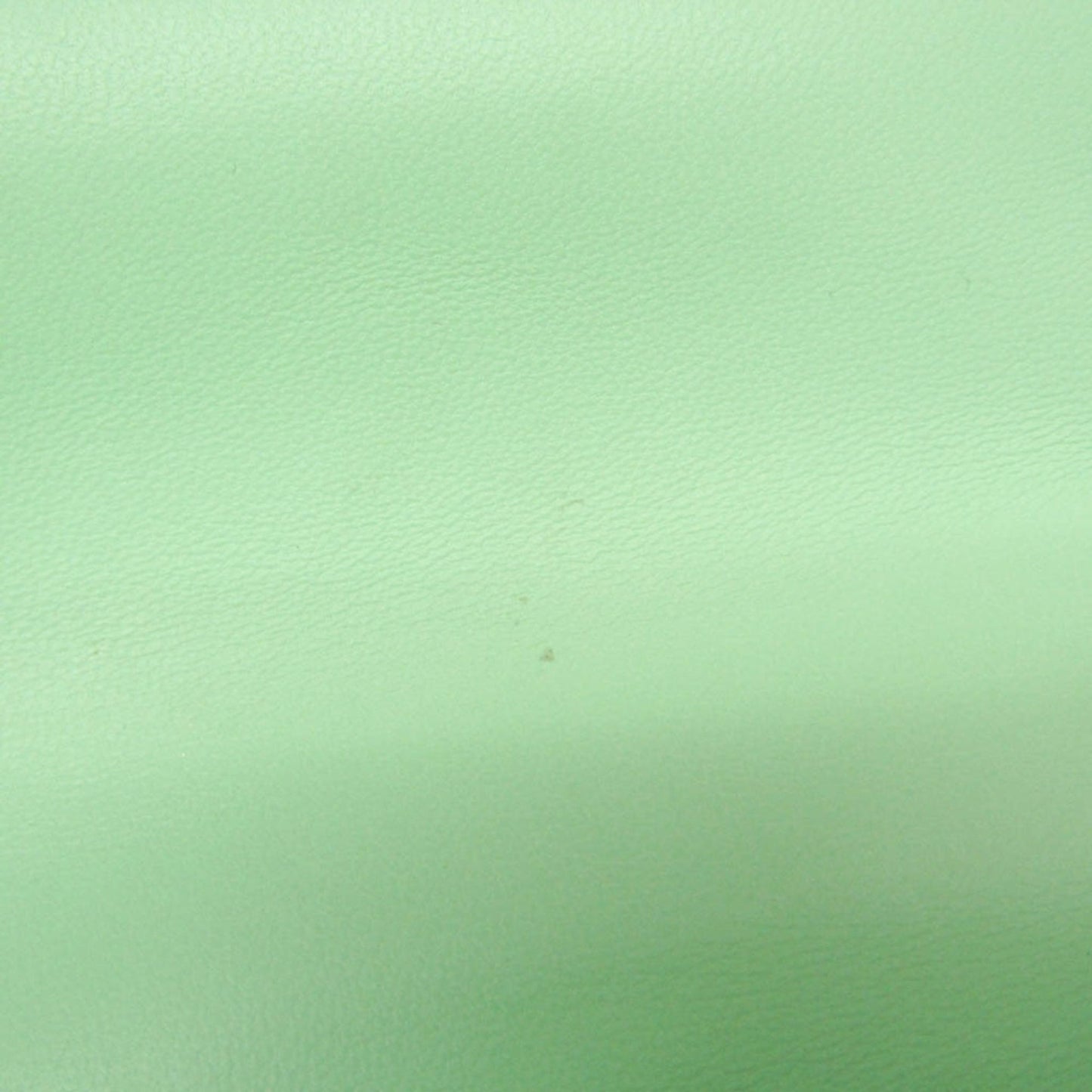Bottega Veneta Mount · Chain Shoulder · Leather