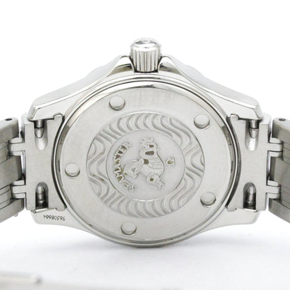 Omega Seamaster Professional 300M · Steel