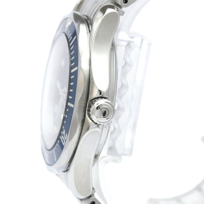 Omega Seamaster Professional 300M · Steel