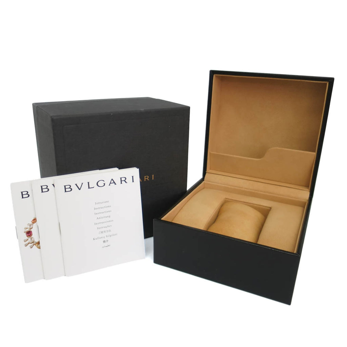 Bvlgari Ergon · Steel · Automatic