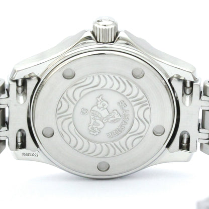 Omega Seamaster Professional 300M · Steel