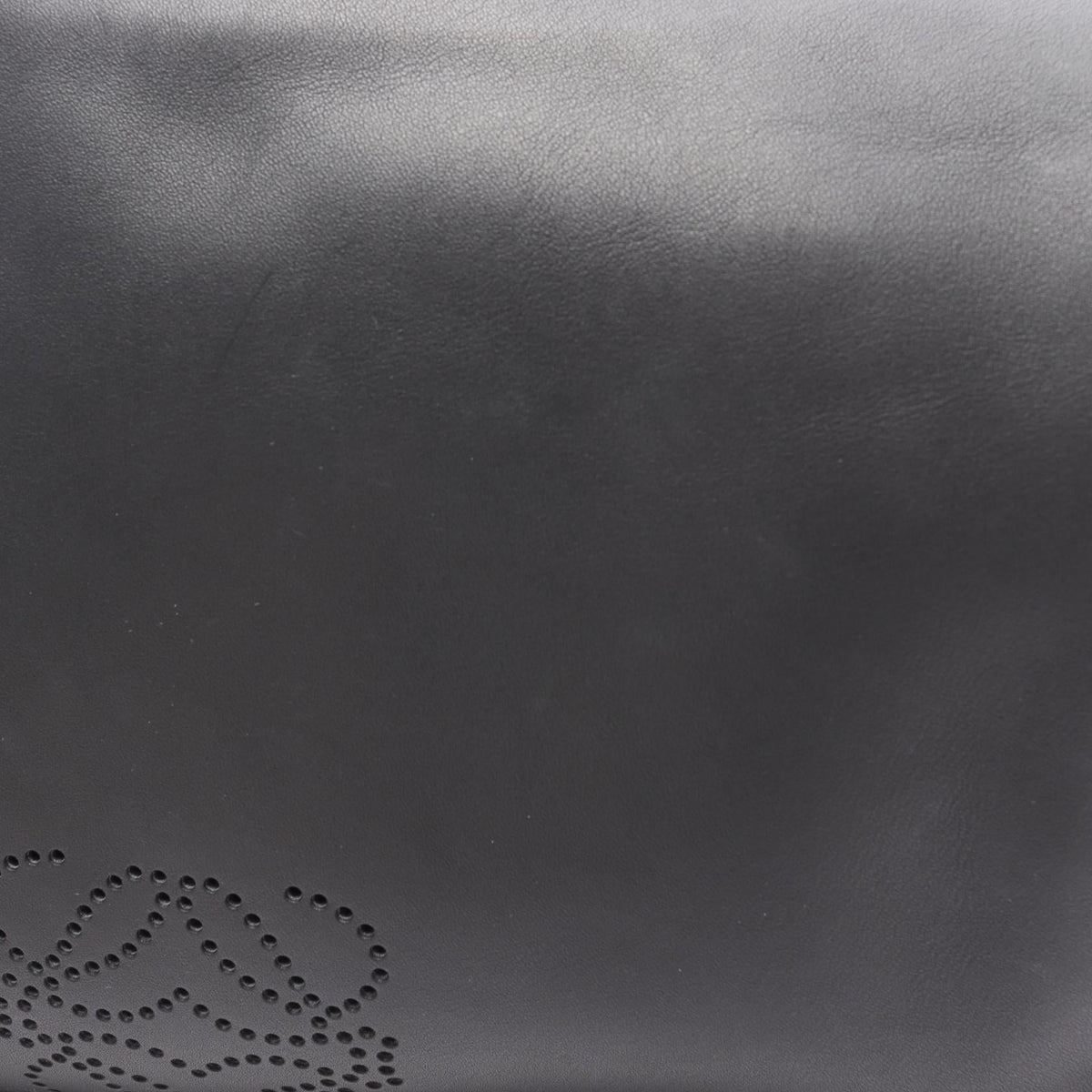 Loewe Sophia · Anagram · Leather