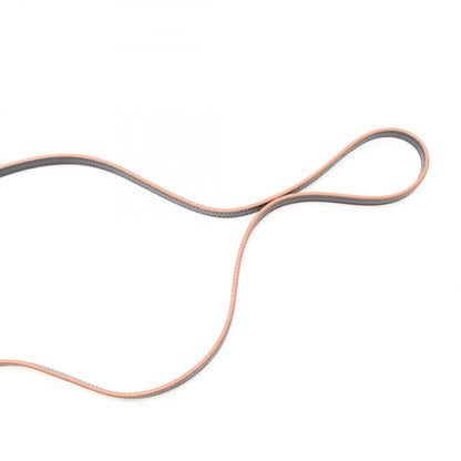Loewe Balloon Bag Nano · Leather