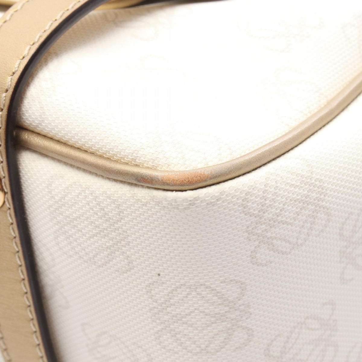 Loewe Pockets · Canvas Leather