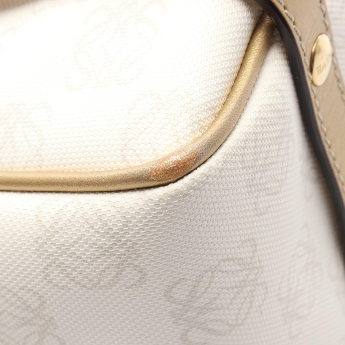 Loewe Pockets · Canvas Leather