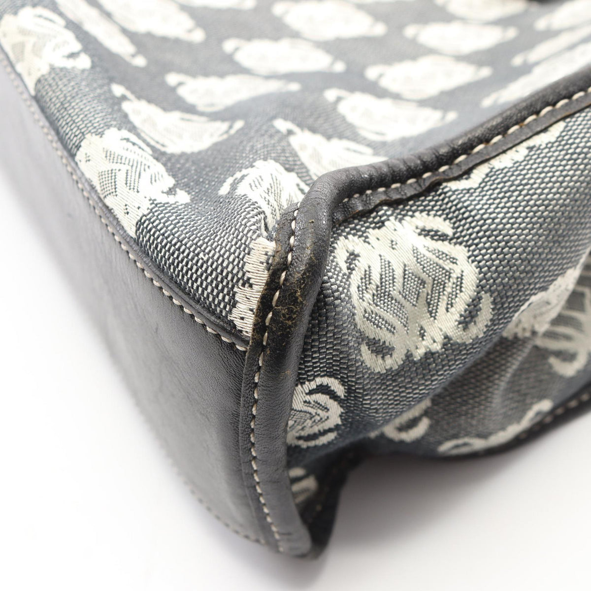Loewe Anagram · Canvas & Leather Tote