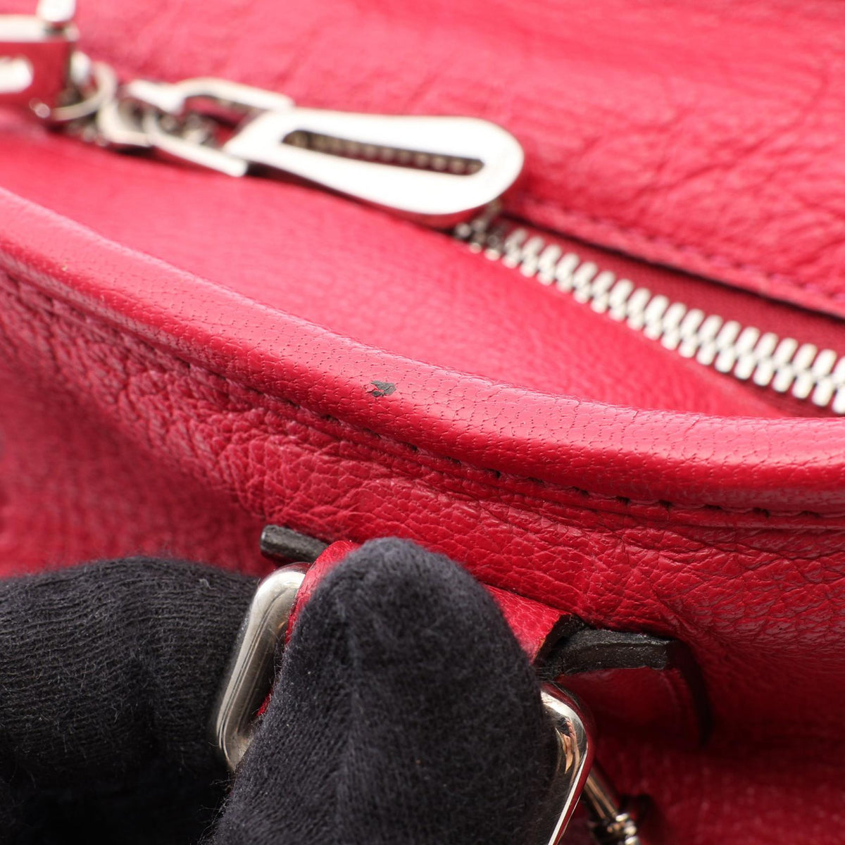 Loewe Amazona 36 · Leather
