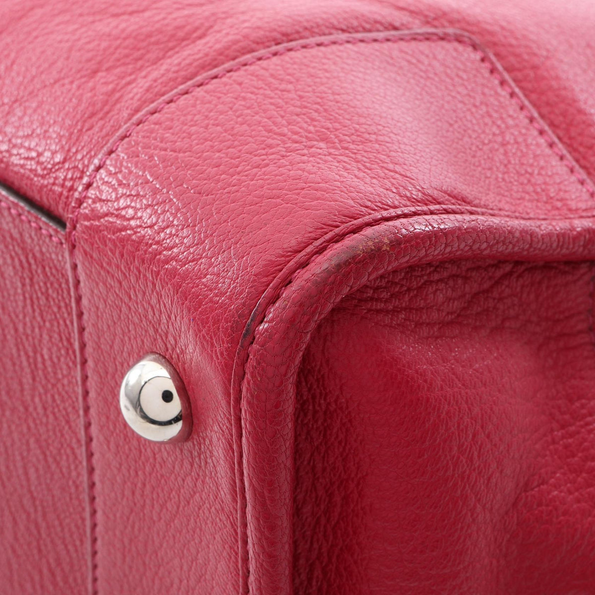 Loewe Amazona 36 · Leather
