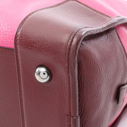 Loewe Amazona 36 · Leather