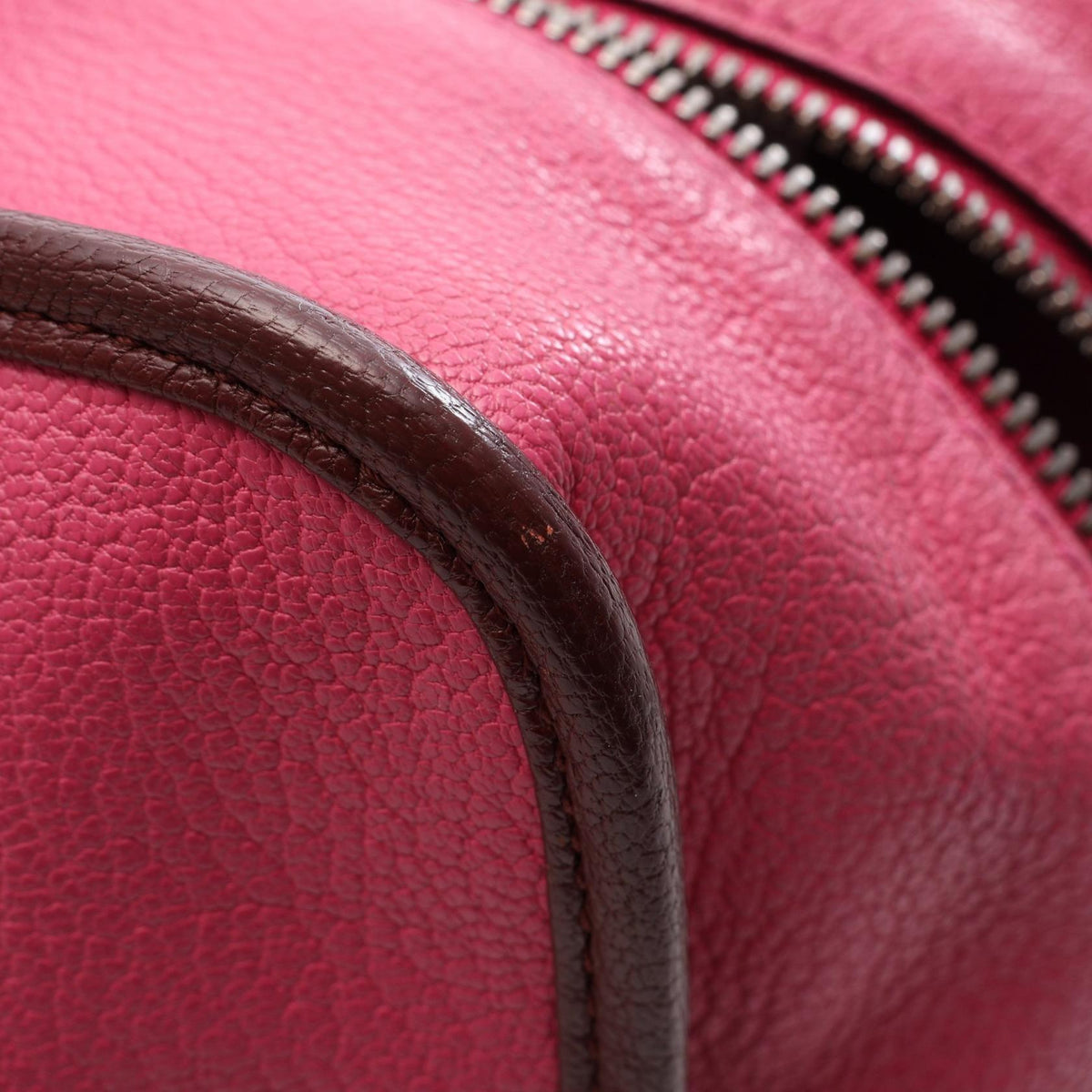 Loewe Amazona 36 · Leather