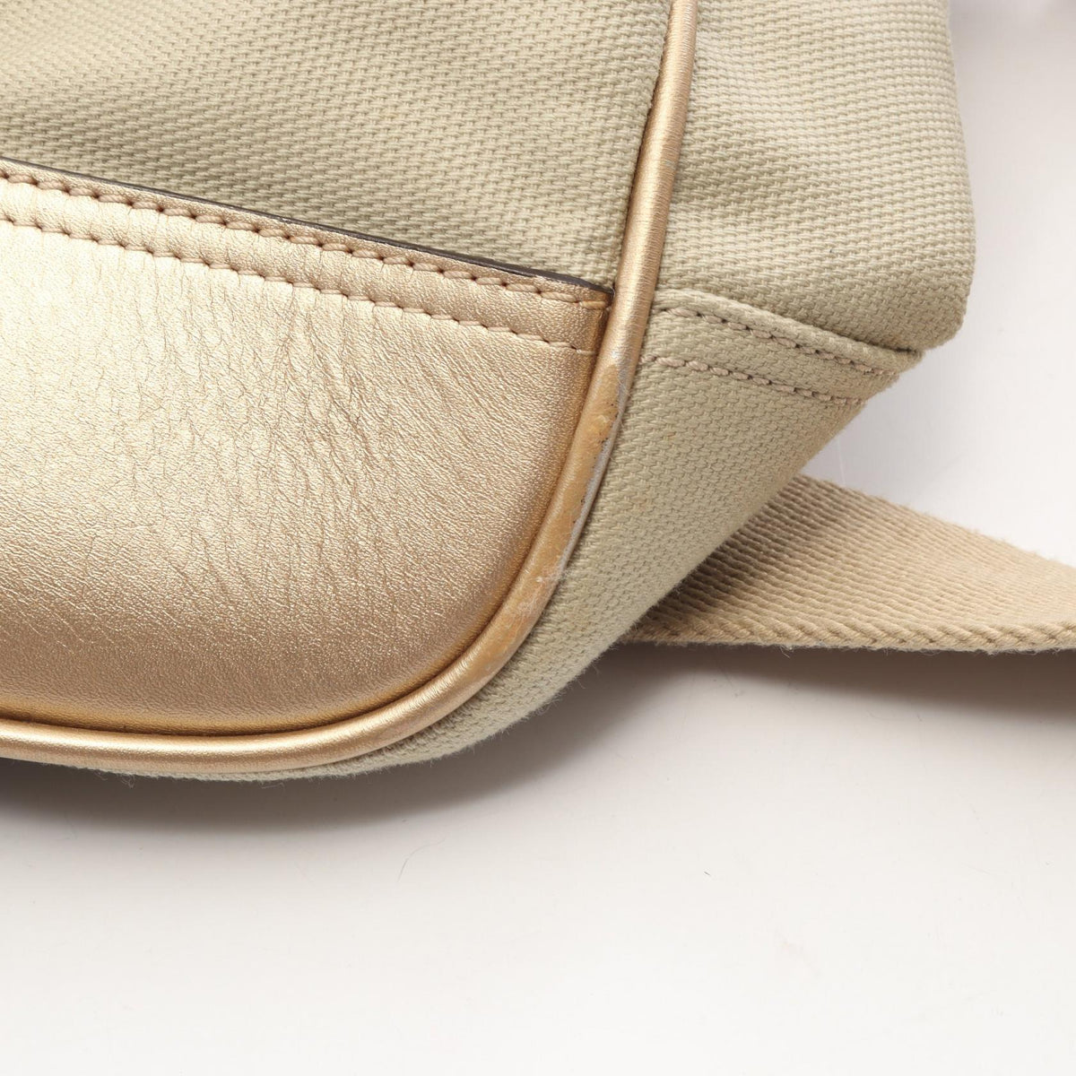 Loewe Anagram · Canvas & Leather Tote