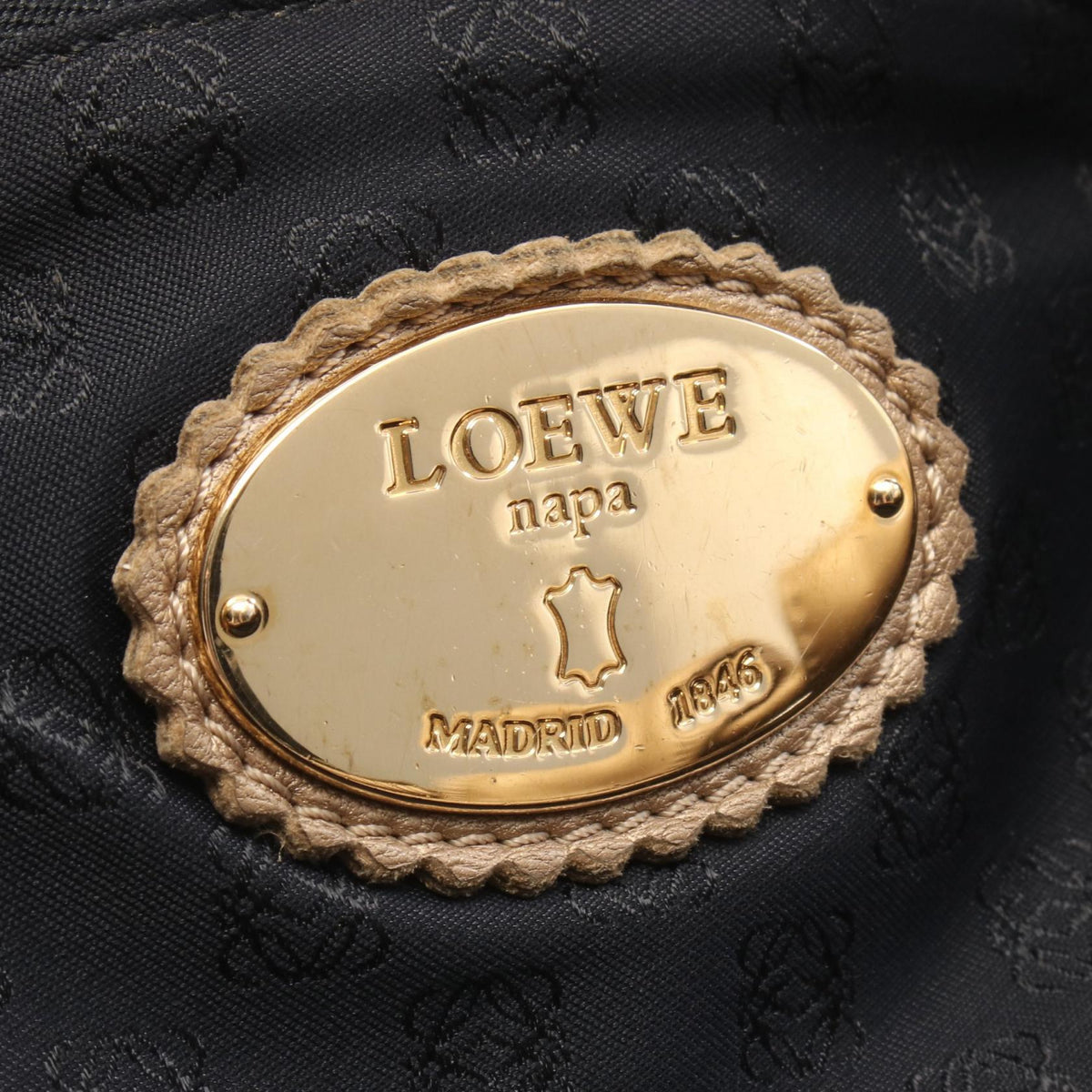 Loewe Nappa Aire · Leather