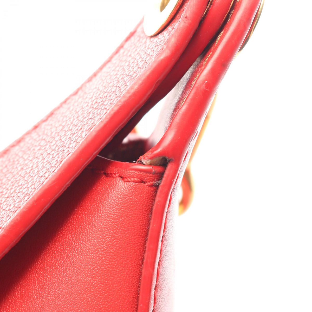 Loewe Luna · Leather Canvas