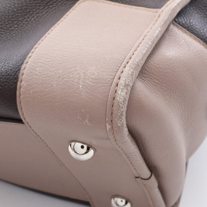 Loewe Amazona 36 · Leather