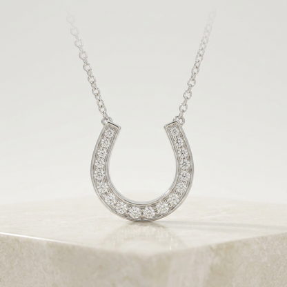 Tiffany Horseshoe Diamond Necklace Platinum Diamond Men,Women Fashion Necklace (Silver)
