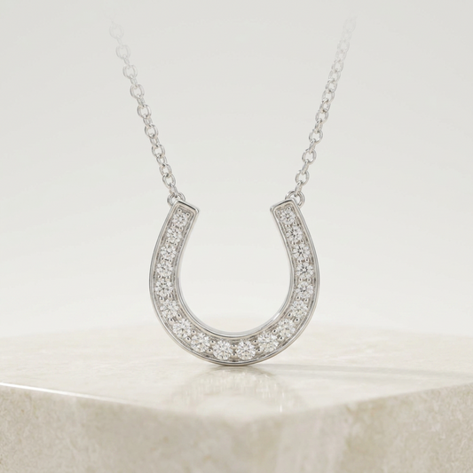 Tiffany Horseshoe Diamond Necklace Platinum Diamond Men,Women Fashion Necklace (Silver)