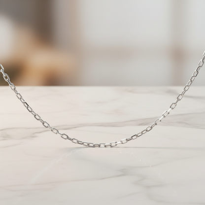 Cartier Chain Necklace White Gold (18K) No Stone Men,Women Fashion Necklace (Silver)