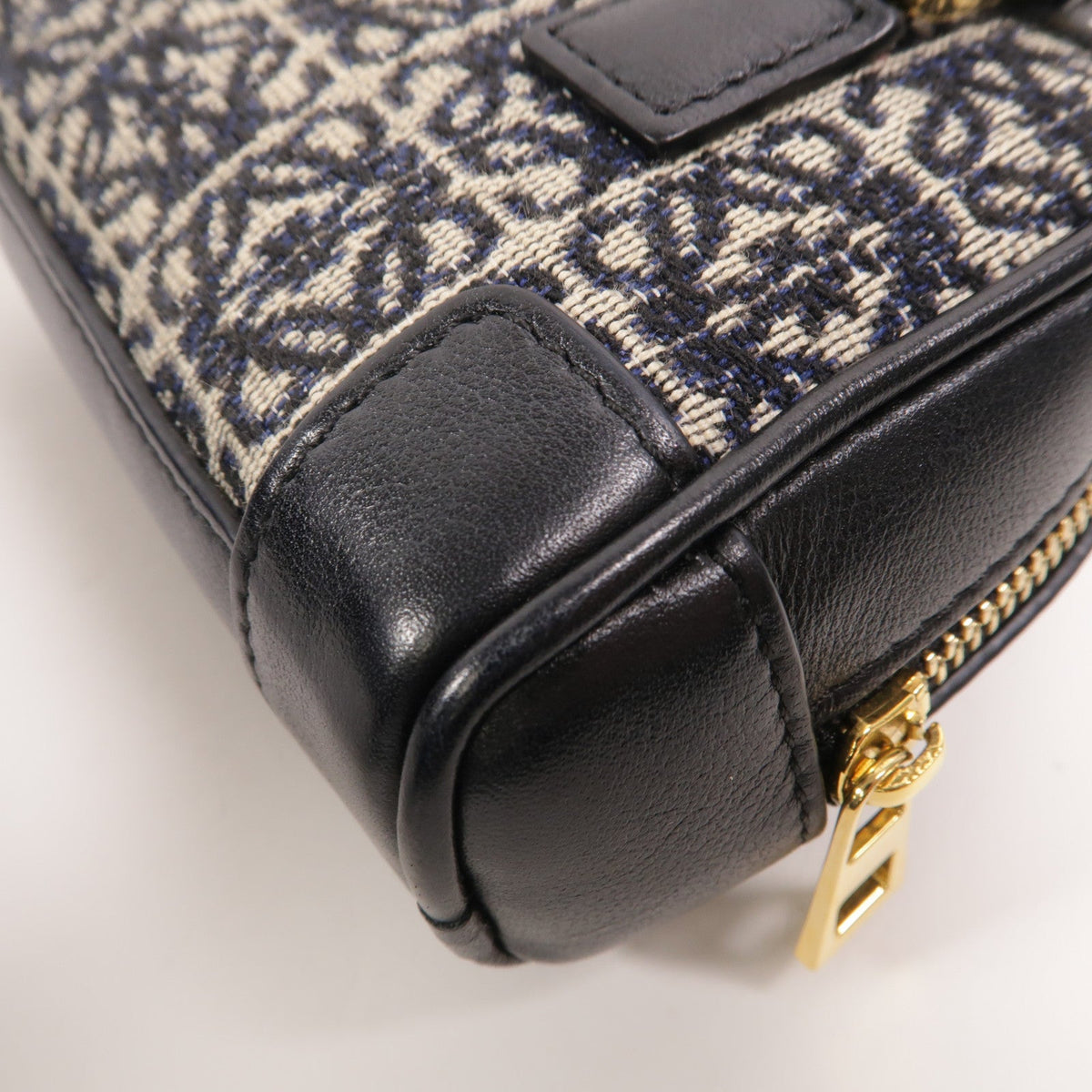 Loewe Amazona Nano · Anagram Canvas